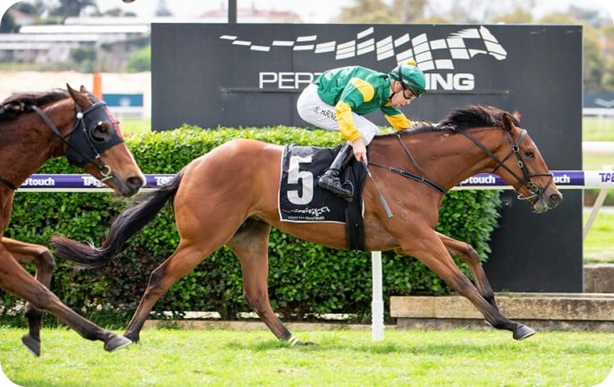 Horse racing photo 12